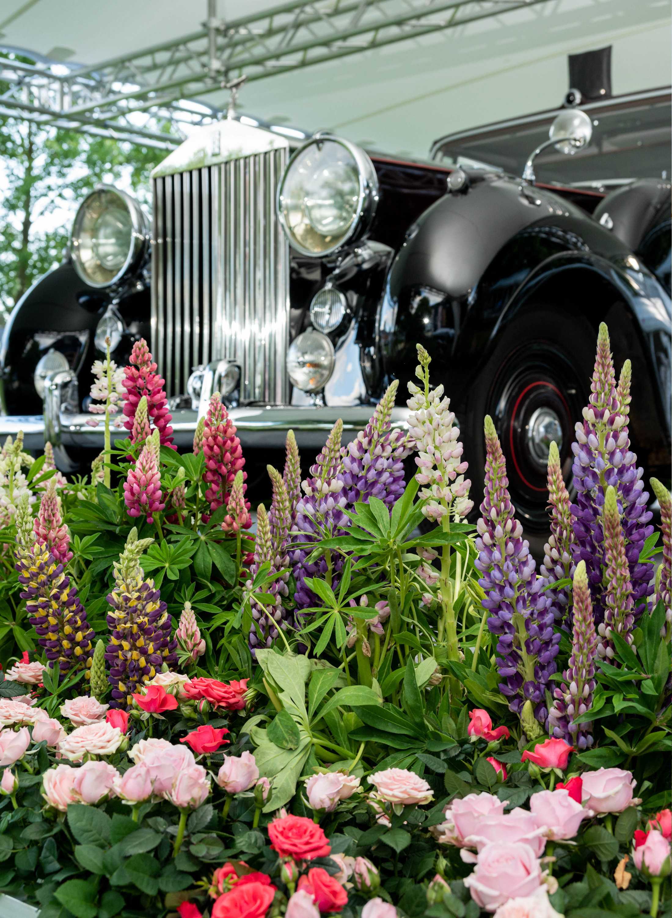 Royal Ascot public features design and build by Victoria Owen